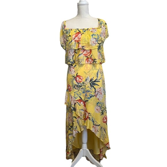 B.B. Dakota Madison Boho Romantic Feminine Resort  High Low‎ Dress Size 8 - Picture 2 of 9